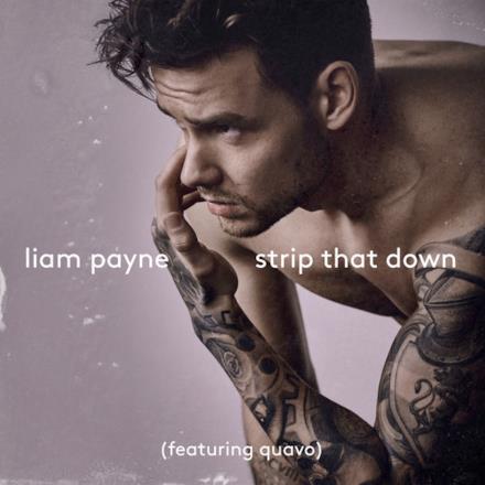 Strip That Down (feat. Quavo) - Single