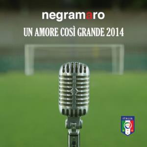 Un amore così grande 2014 - Single