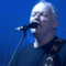 David Gilmour dal vivo.