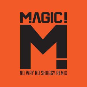 No Way No (feat. Shaggy) [Native Wayne Jobson and Barry O'Hare Remix] - Single