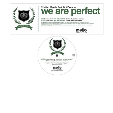 We Are Perfect - Single
