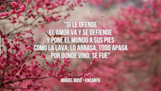 Miguel Bosé: le migliori frasi dei testi delle canzoni