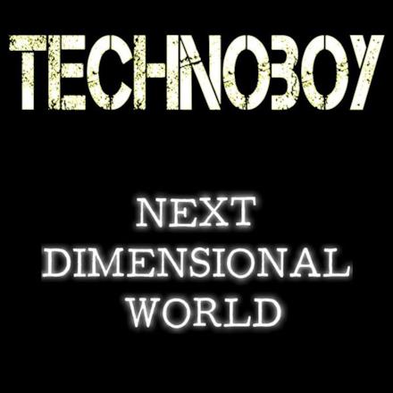 Next Dimensional World