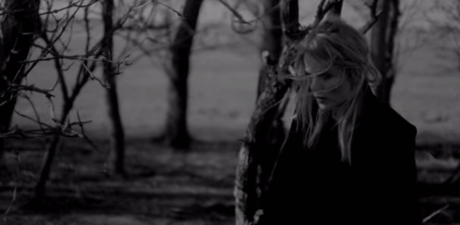 Il  video dei The Common Linnets Calm After The Storm