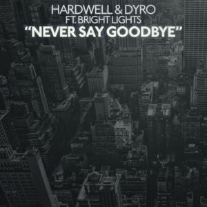 Never Say Goodbye (Hardwell & Dyro feat. Bright Lights) - Single