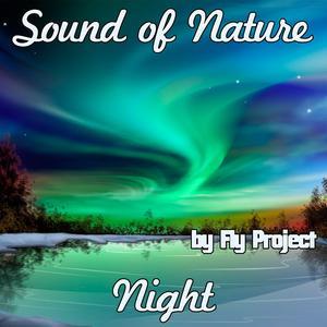 Sound of Nature: Night