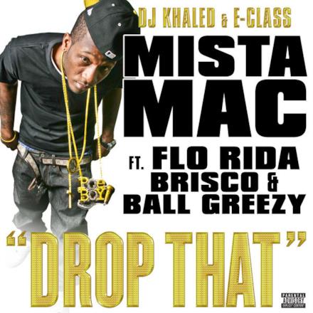 Drop That (feat. Flo Rida, Brisco, Ball Greezy) - Single