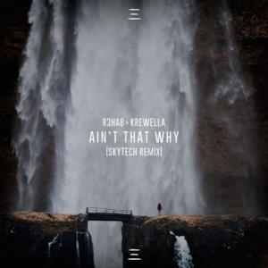 Ain't That Why (Skytech Remix) - Single
