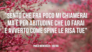 Paolo Meneguzzi: le migliori frasi dei testi delle canzoni