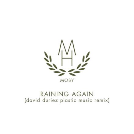 Raining Again (David Duriez Plastic Music Remix) - Single