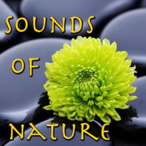 Sounds of Nature Vol.2