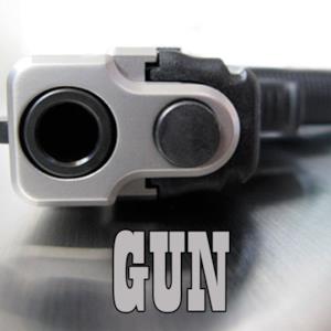 Gun