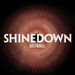 Bully (Remixes) - Single