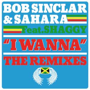 I Wanna (feat. Shaggy) [The Remixes]
