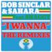 I Wanna (feat. Shaggy) [The Remixes]