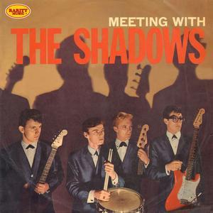Rarity Music Pop, Vol. 317 (Meeting with The Shadows)
