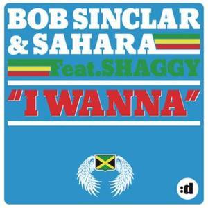 I Wanna (feat. Shaggy) - EP