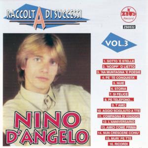 Raccolta di successi, vol. 3 (The Best of Nino D'Angelo Collection)