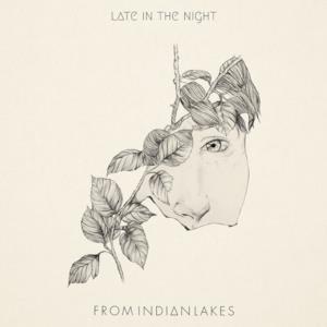 Late in the Night - Single