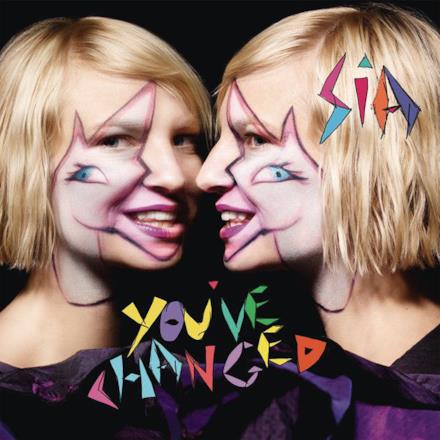 You've Changed - Single
