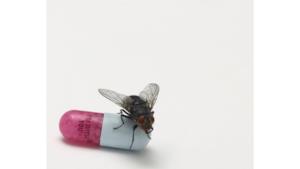 Red Hot Chili Peppers: ecco la copertina di "I'm with you"