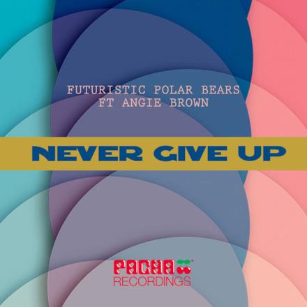 Never Give Up (John Jacobsen Remix) [feat. Angie Brown] - Single