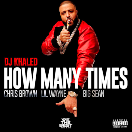 How Many Times (feat. Chris Brown, Lil Wayne, & Big Sean) - Single