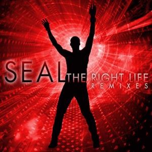 The Right Life - The Remixes