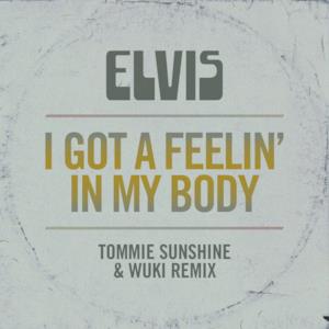 I Got a Feelin' In My Body (Tommie Sunshine & Wuki Remix) - Single