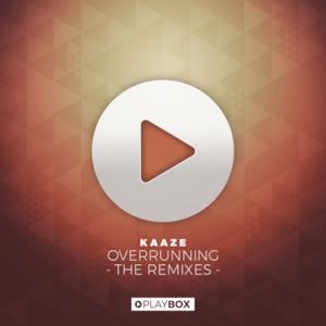 Overrunning (The Remixes) - EP