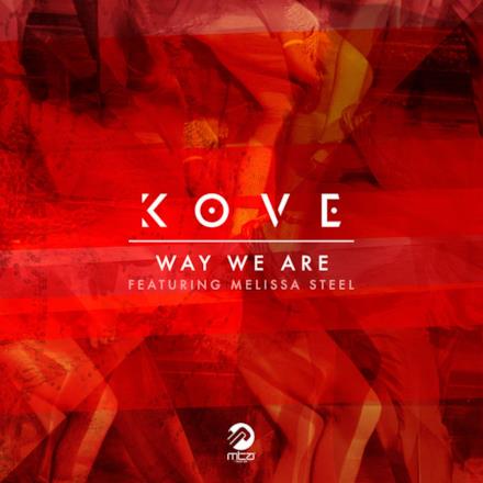 Way We Are (Remixes) [feat. Melissa Steel] - Single