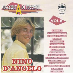 Raccolta di successi, vol. 8 (The Best of Nino D'Angelo Collection)