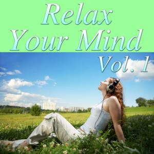 Relax Your Mind, Vol. 2
