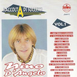 Raccolta di successi, Vol. 1 (The Best of Nino D'Angelo Collection)