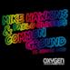 Common Ground (feat. Gregory Boyd) - Single