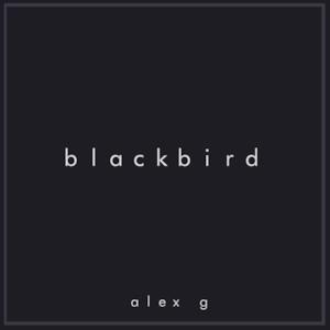 Blackbird (Acoustic Version) - Single