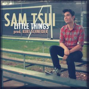 Little Things - Single