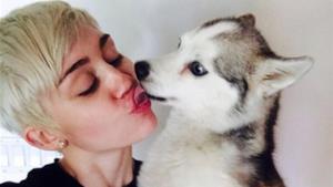 Miley Cyrus: bacio con Floyd, il cane morto ad aprile 2014