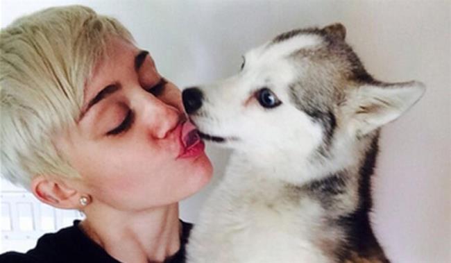 Miley Cyrus: bacio con Floyd, il cane morto ad aprile 2014
