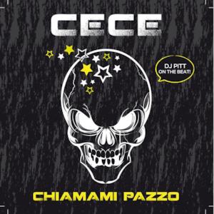 Chiamami Pazzo (feat. DJ Pitt) - Single