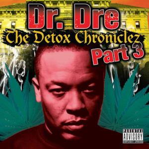 The Detox Chroniclez Part 3