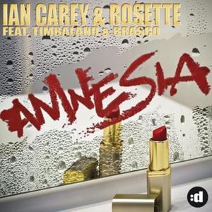 Amnesia (Remixes) [feat. Timbaland & Brasco]
