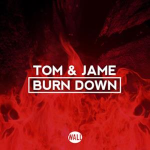 Burn Down - Single
