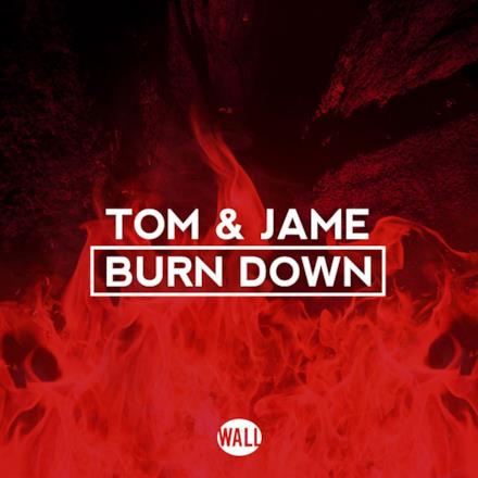 Burn Down (Extended Mix) - Single