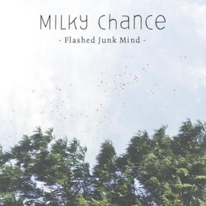 Flashed Junk Mind - Single