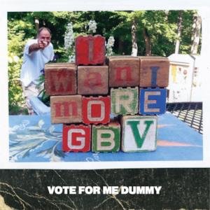 Vote for Me Dummy - Single