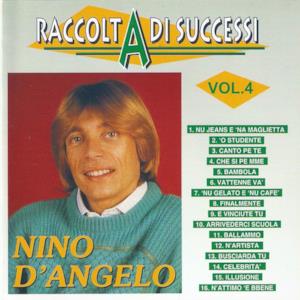 Raccolta di successi, vol. 4 (The Best of Nino D'Angelo Collection)