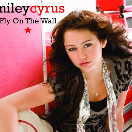 Fly On the Wall (2 Track Single) - Single