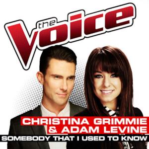 Somebody That I Used To Know (The Voice Performance) - Single