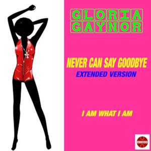 Never Can Say Goodbye (Extended Version) - Single